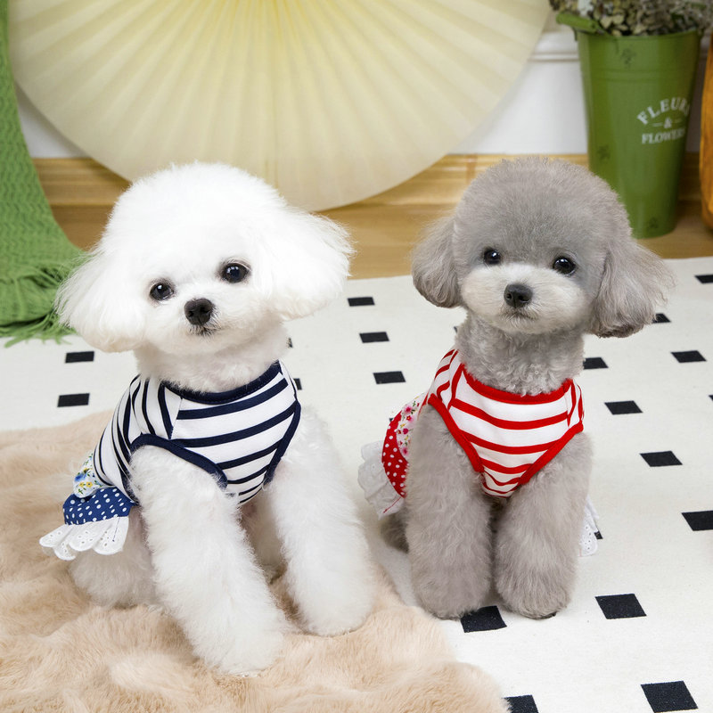 https://fulmo-img-server.com/perry-dog/64cb5648-2455-4438-9892-b3151cebbb28.jpg