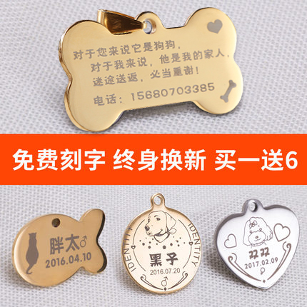 https://fulmo-img-server.com/perry-dog/65fbc8ad-1e6b-44ba-b980-a37050e65fcd.jpg