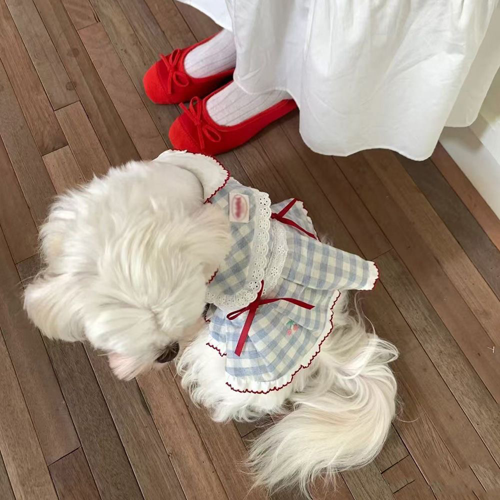 犬服 お嬢様風レース襟ワンピース