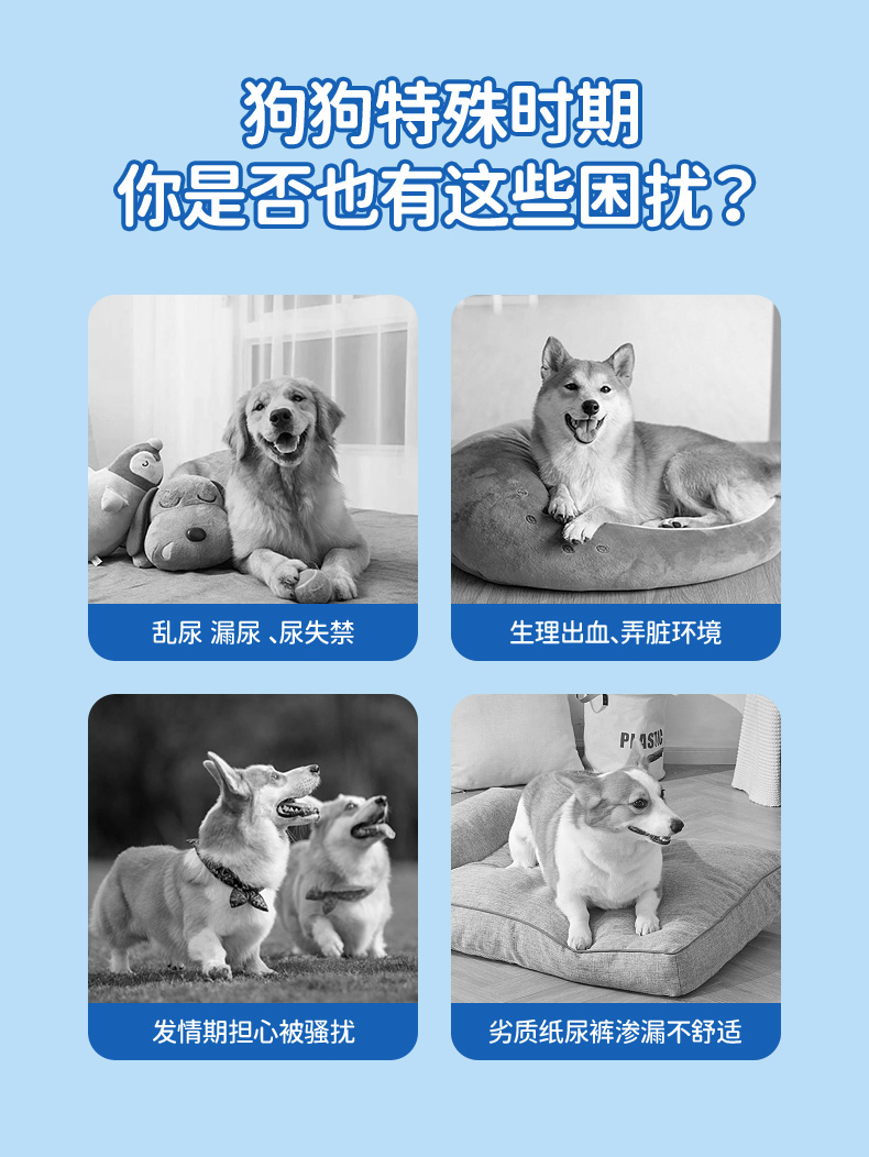 犬服 エラー