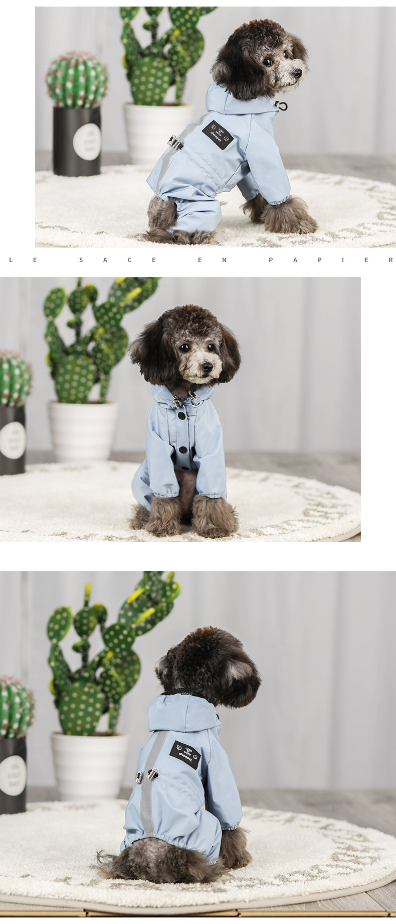 https://fulmo-img-server.com/perry-dog/67b3546b-19e3-42e2-b0c2-b483882fd0ec.jpg