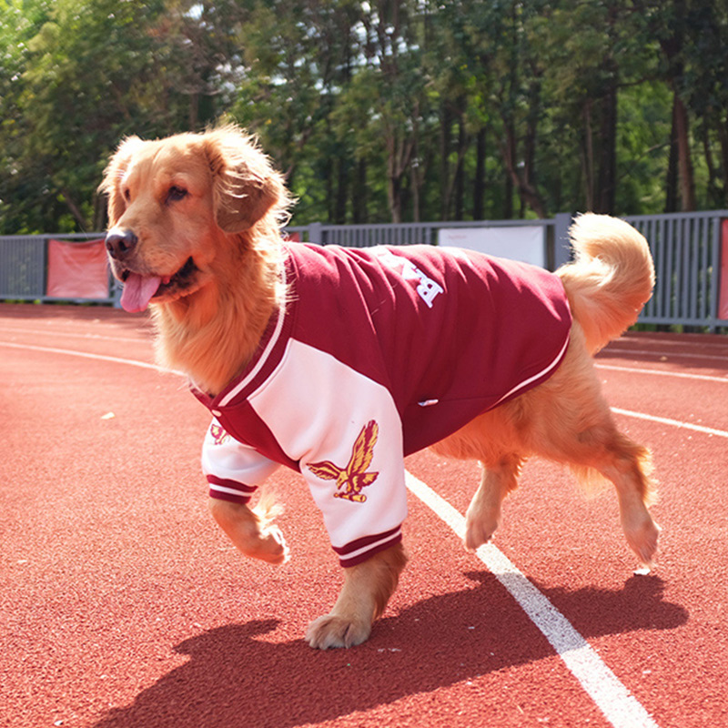 犬服 スポーティ学院風ジャンパー