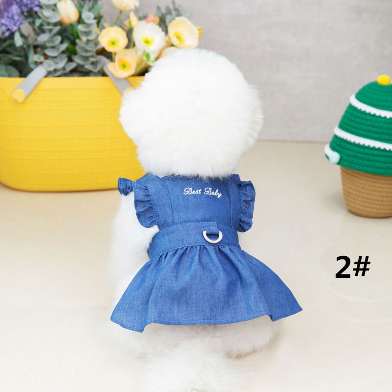 https://fulmo-img-server.com/perry-dog/680a7c82-80c0-4af1-96cb-9cd99c09a238.jpg