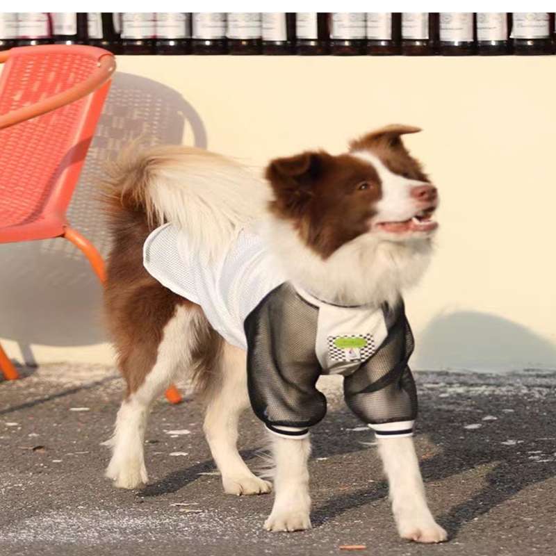 犬服  スポーティーメッシュTシャツ