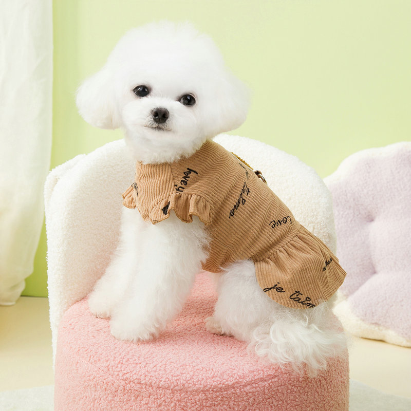 https://fulmo-img-server.com/perry-dog/69d4588b-661b-42bd-bb96-3654880e5212.jpg