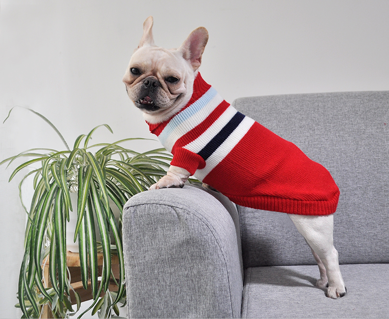 犬服 小型犬用タートルネックニットセーター