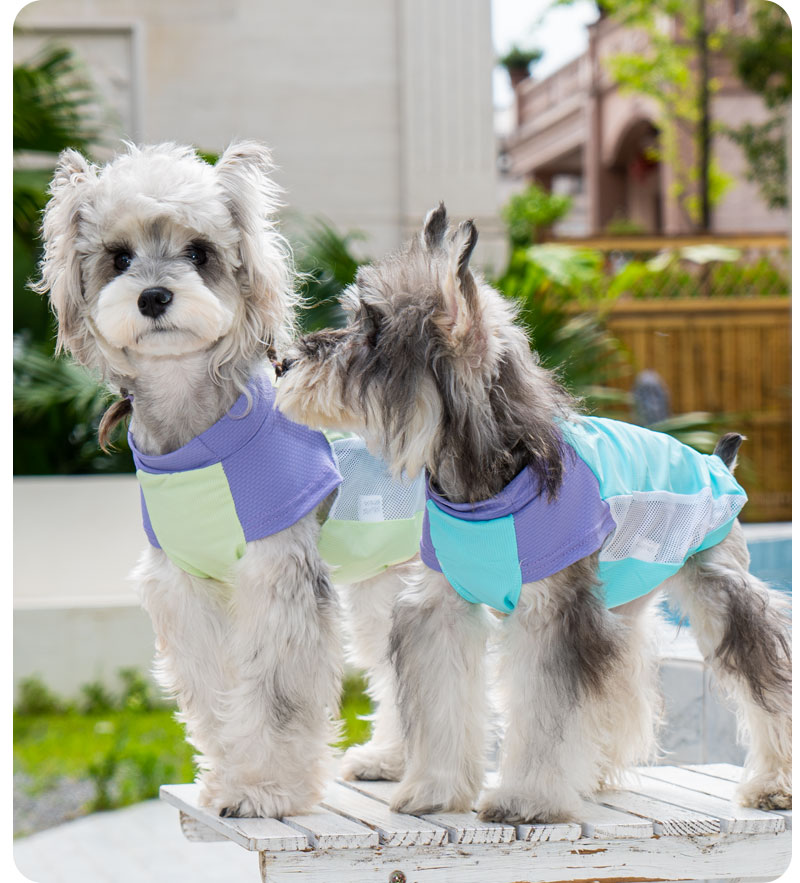 犬服 さわやか夏物語 メッシュ涼感ウェア