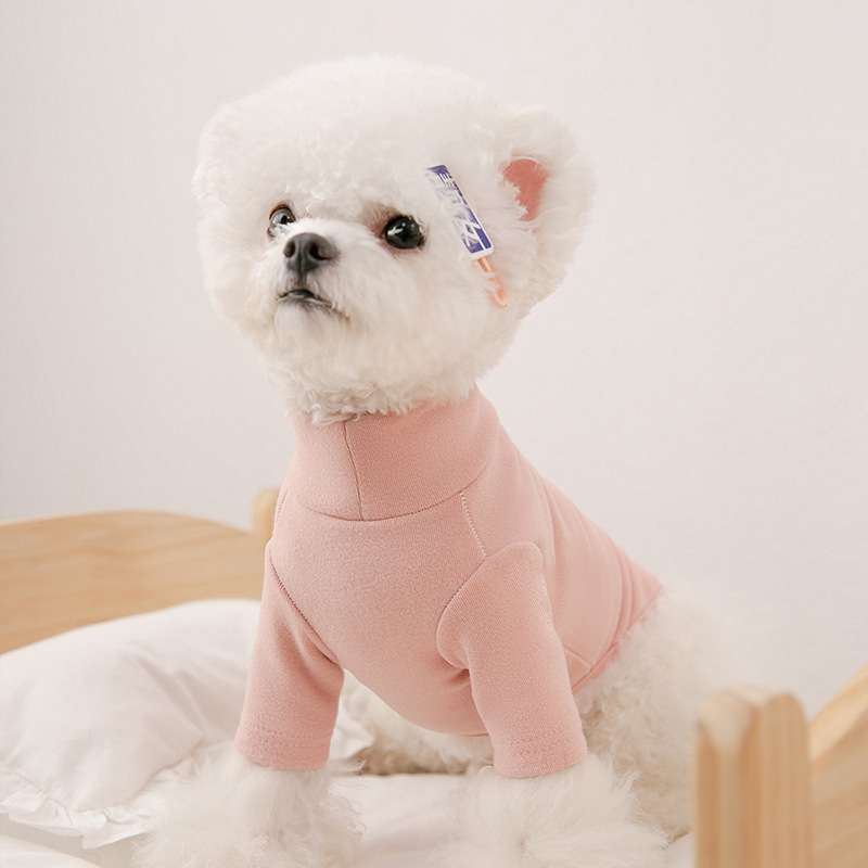 https://fulmo-img-server.com/perry-dog/6cab7006a3084a4c9cfbdf20a2b73adc.jpg
