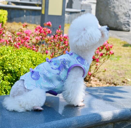 https://fulmo-img-server.com/perry-dog/6d76898c-df5a-4ea8-ba5b-7c293c786e39.jpg