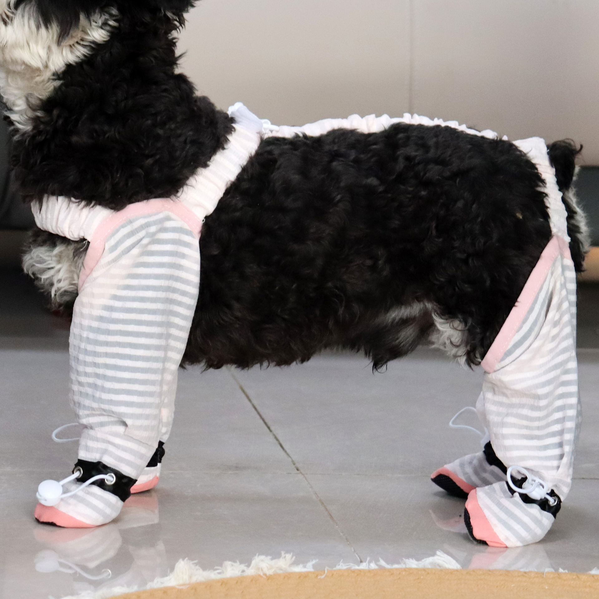 https://fulmo-img-server.com/perry-dog/6e64685d-3c77-4016-8ae5-64e52afb92b4.jpg