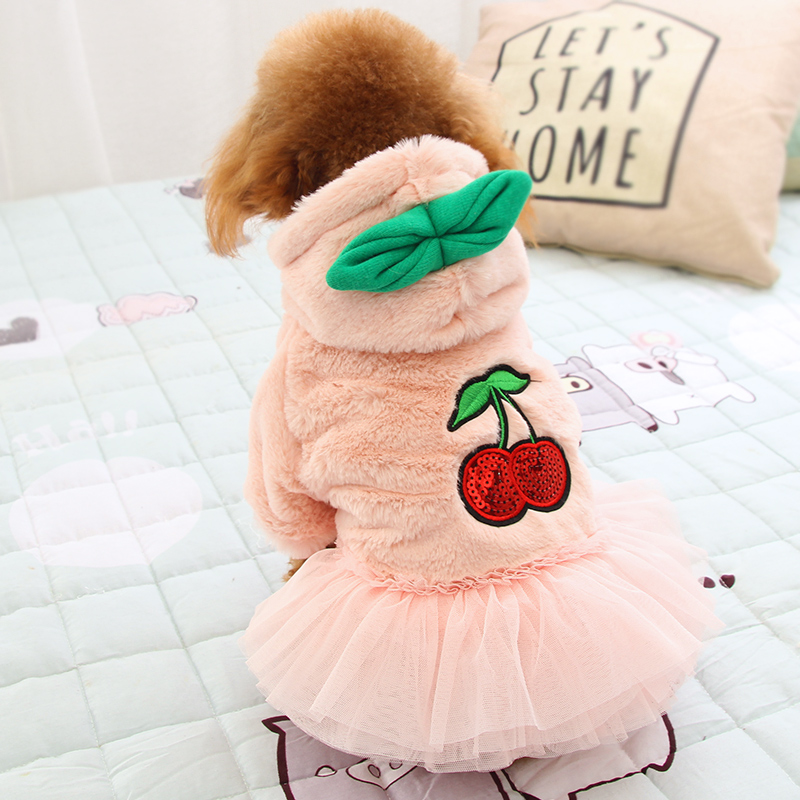 https://fulmo-img-server.com/perry-dog/6ea8d940-1cad-4dcb-bc6f-221176341783.jpg