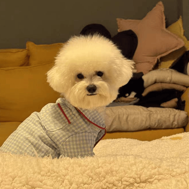 犬服 親子おそろい格子柄パジャマ