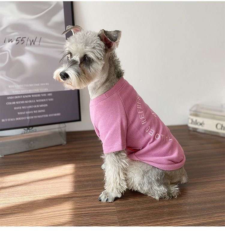 犬服  小型犬用おしゃれTシャツ