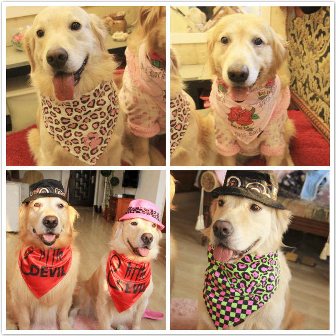 犬服 大型犬用三角巾バンダナ帽子付き変身セット