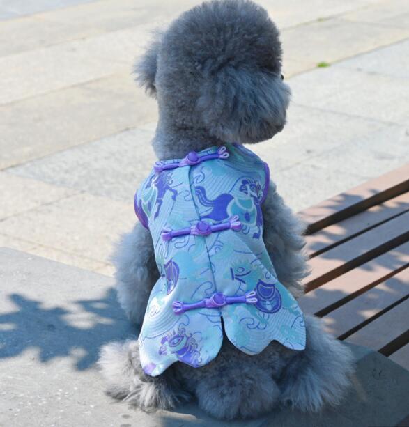 https://fulmo-img-server.com/perry-dog/6fe60740-66ad-4444-a8f8-8b87b1c3fbbd.jpg