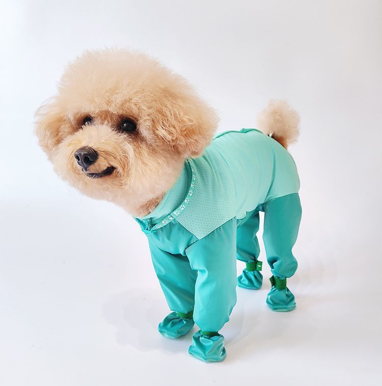 https://fulmo-img-server.com/perry-dog/6ff0fa02-b631-45e2-b8ef-3a9aa40edc09.jpg