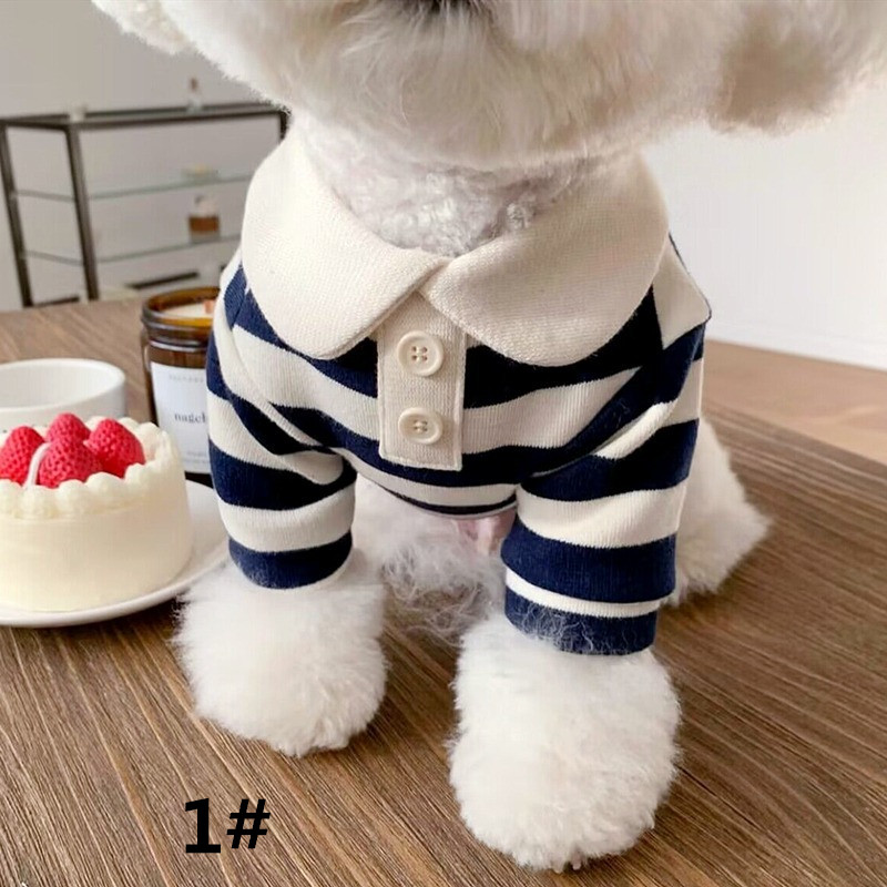 https://fulmo-img-server.com/perry-dog/703042eb-9547-48e9-b8e0-5386a90db578.jpg