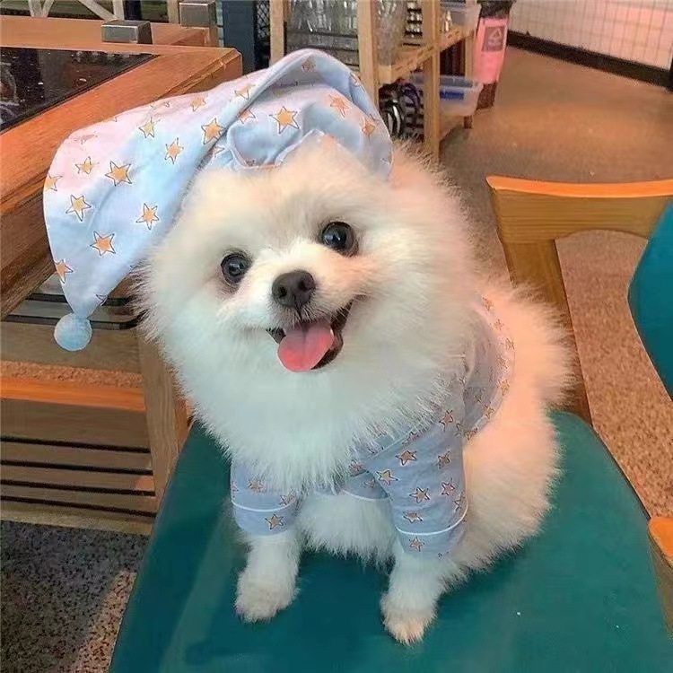 https://fulmo-img-server.com/perry-dog/710dec74-0add-4b61-93ce-c44544aa4f71.jpg