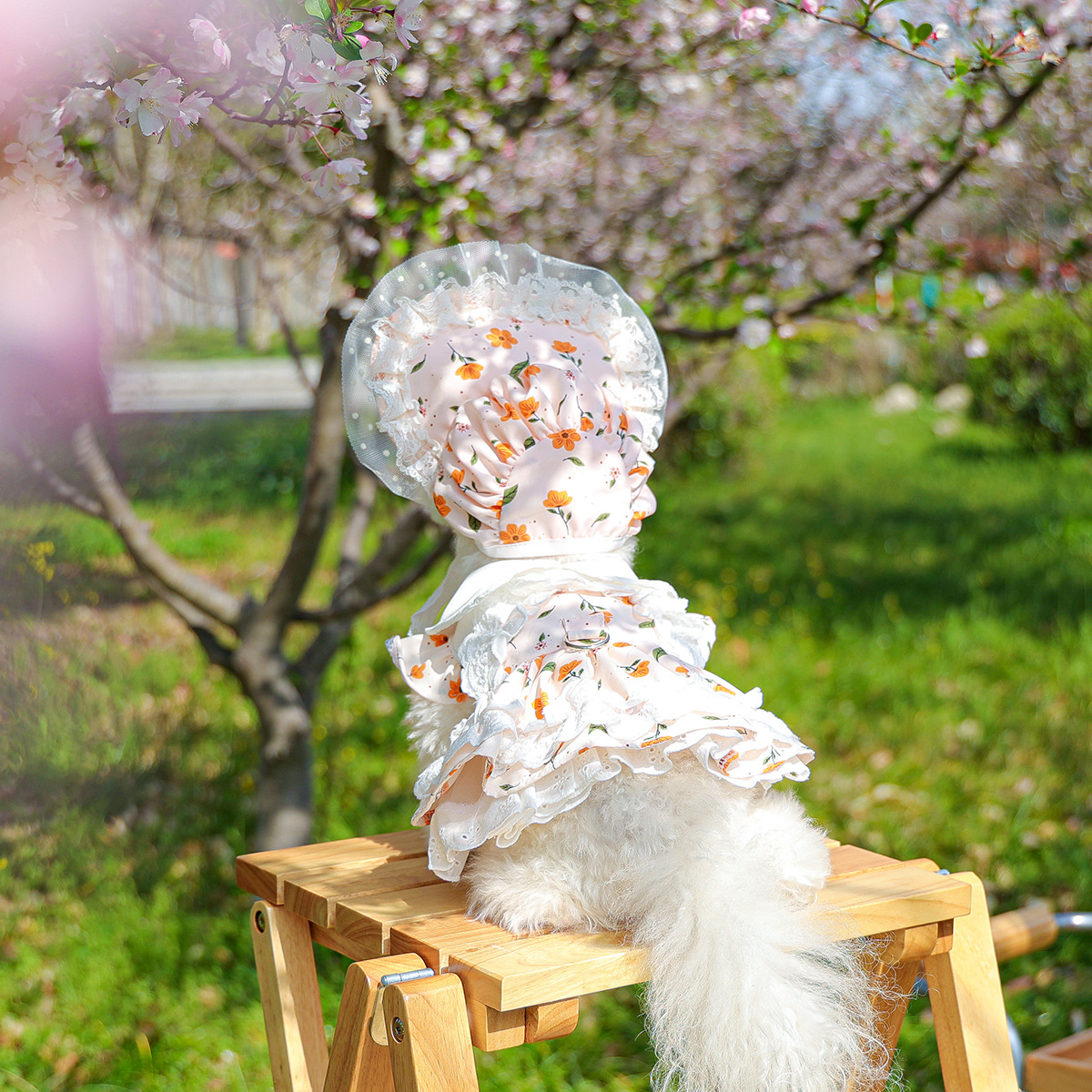 犬服 花園お姫様ワンピースと帽子セット