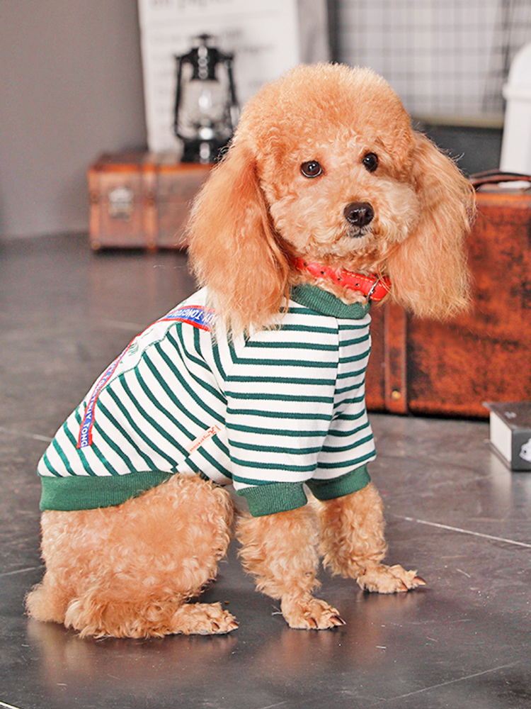 犬服 小型犬用ボーダー柄四足ロンパース