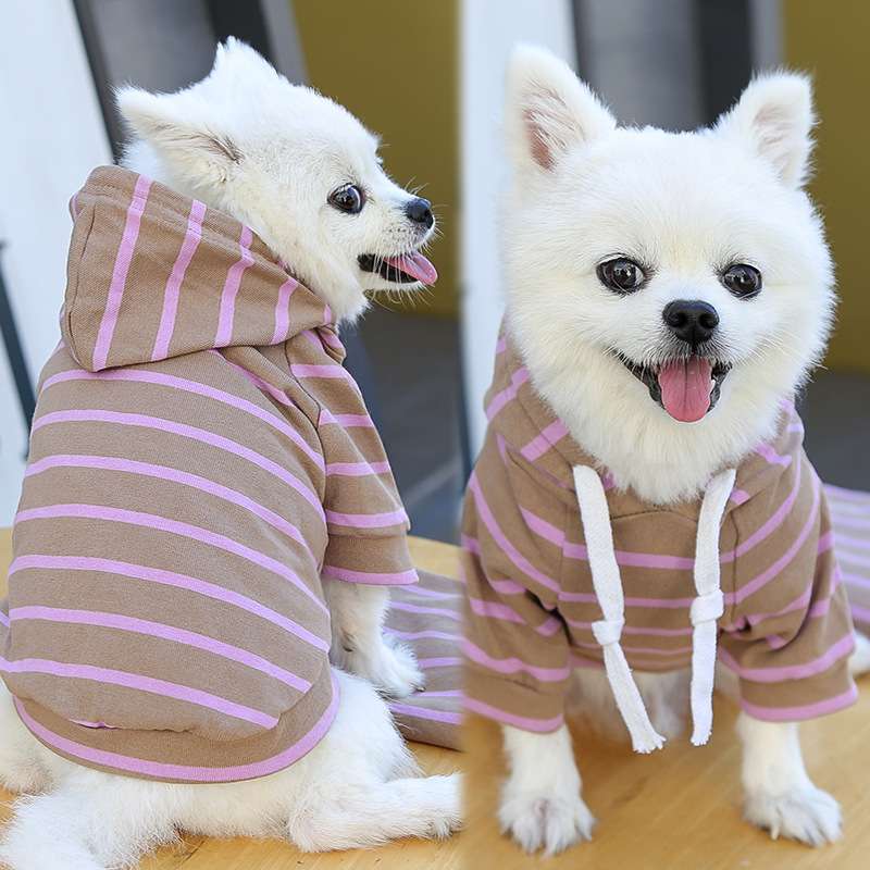  パーカー風ボーダー柄犬服