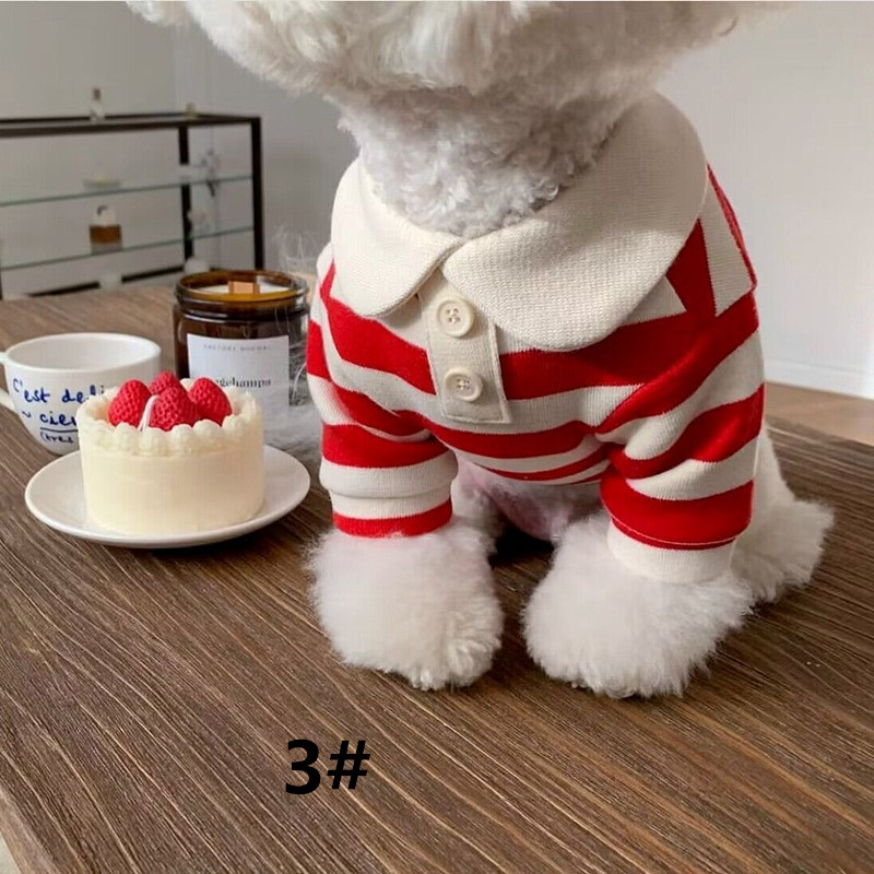 https://fulmo-img-server.com/perry-dog/71d1a511-5bf7-4f51-943b-c9ecdef4988a.jpg