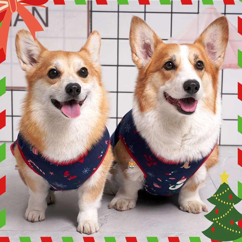 犬服  コーギー用クリスマス柄ベスト