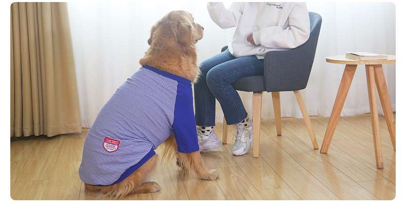 犬服  大型犬用爽やかストライプTシャツ