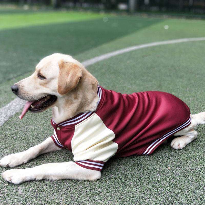 犬服  スポーティ大型犬用ジャージ