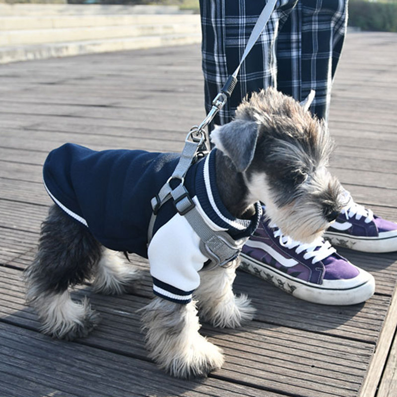 犬服 スポーティ学院風ジャンパー