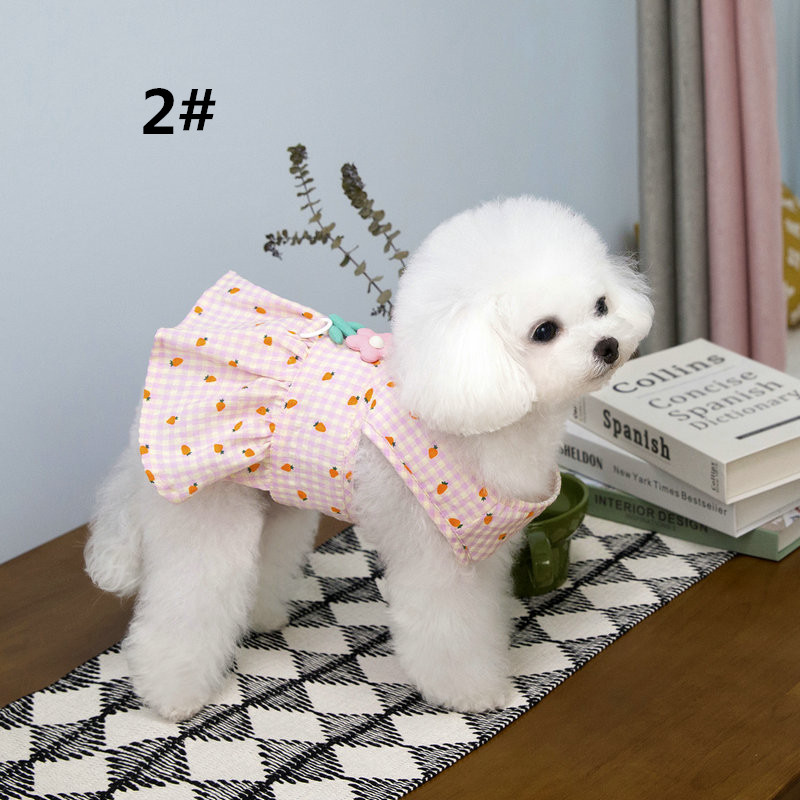 https://fulmo-img-server.com/perry-dog/7523b5fe-5922-4fc1-ab19-489cbc6e0b4d.jpg