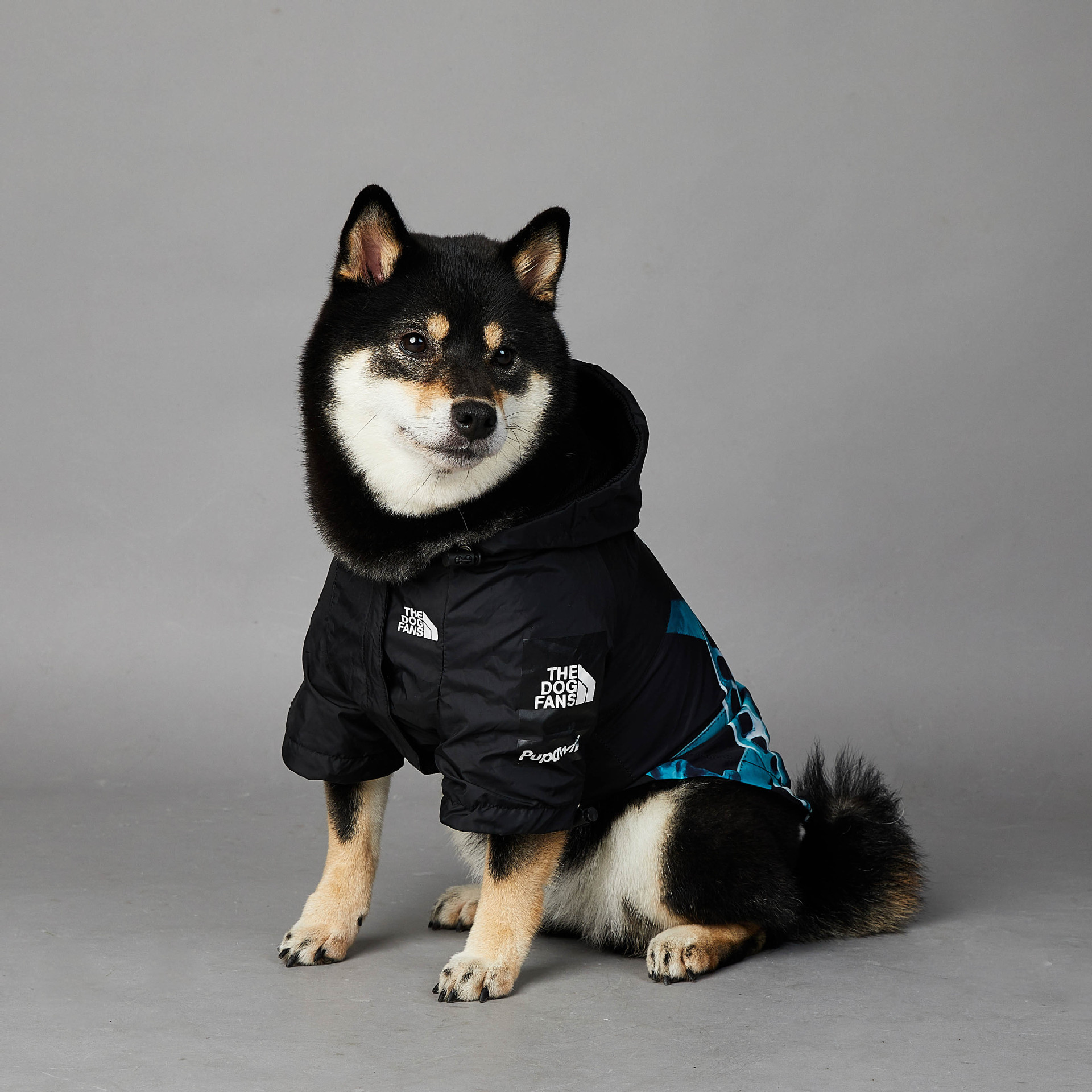 https://fulmo-img-server.com/perry-dog/75240bdf-7163-4e83-8389-36486ad33de7.jpg