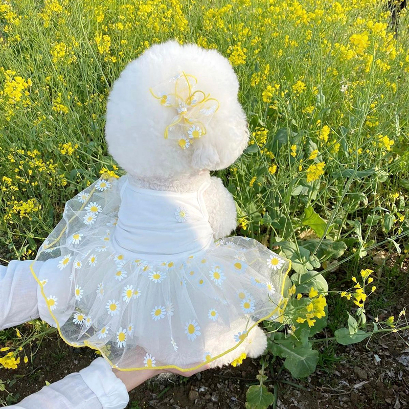 犬服 花畑の妖精チュチュドレス