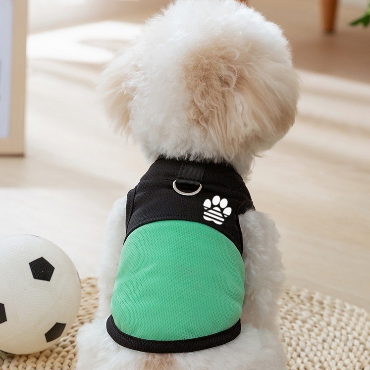 https://fulmo-img-server.com/perry-dog/76353f81-d210-48ff-a71e-1660807ca924.jpg