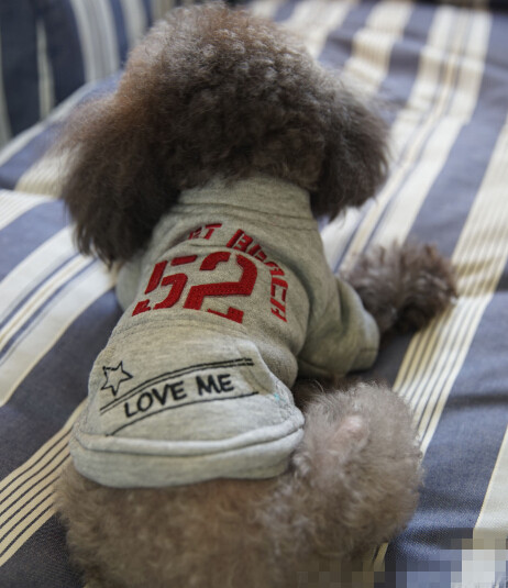 犬服 小型犬用厚手スウェットシャツ５２番ロゴ