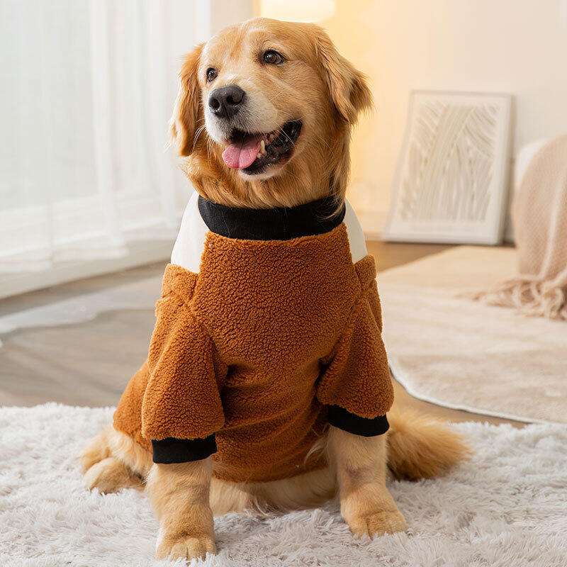 https://fulmo-img-server.com/perry-dog/7788e9e44a504d34a508fc29a41a9317.jpg