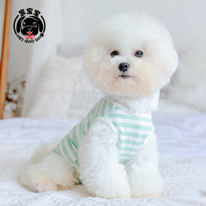 犬服 爽やかボーダータンクトップ