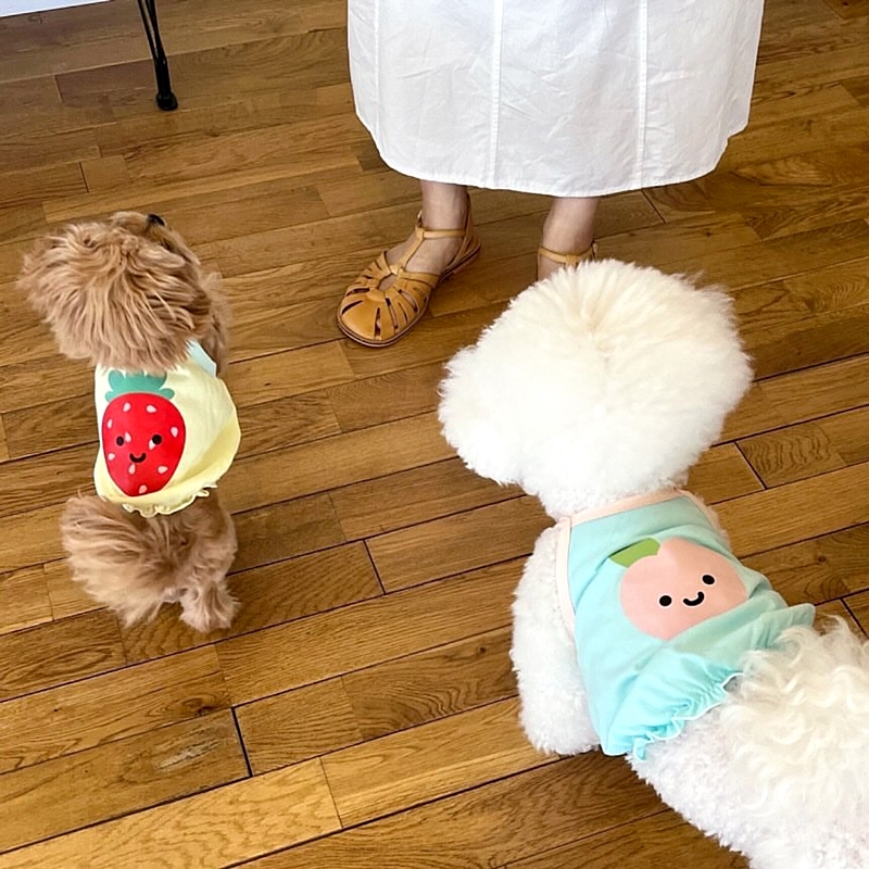 犬服 フルーツ笑顔キャラクター犬用Tシャツ