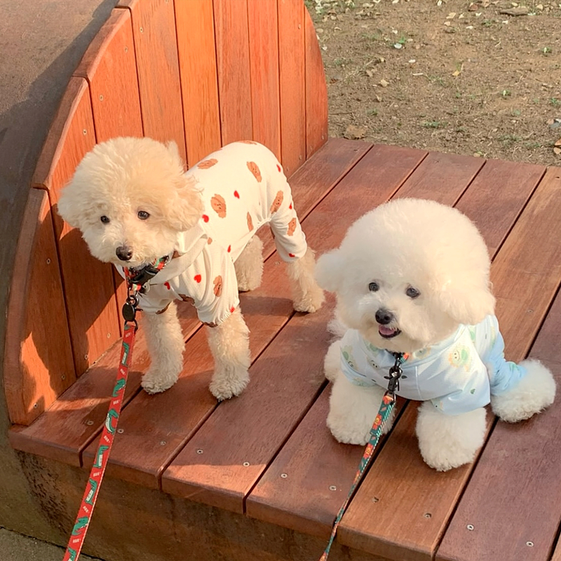 犬服 ふわもこ仲良し柄メッシュTシャツ