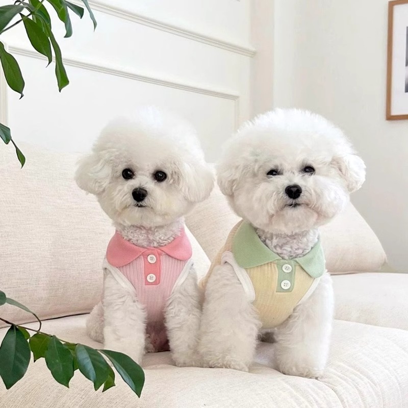 犬服 やわらか襟付きリブニット