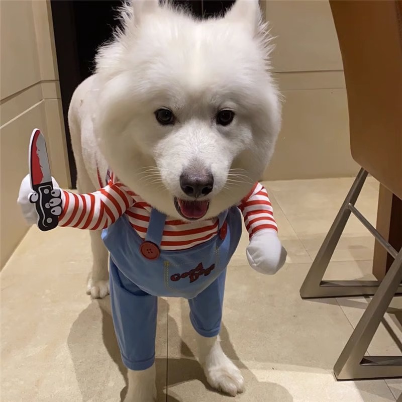犬服 おもしろキャラクターつなぎ