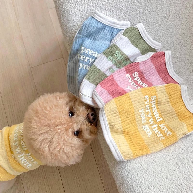 犬服 愛犬へのメッセージ入りボーダーＴシャツ