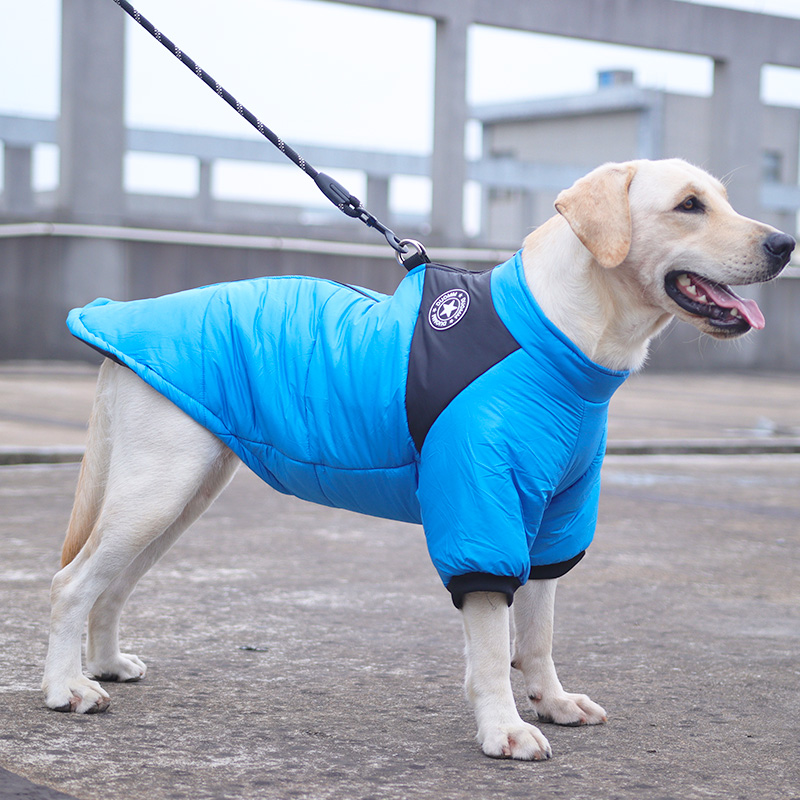 犬服 招き猫と花柄刺繍入り中綿入り防寒着
