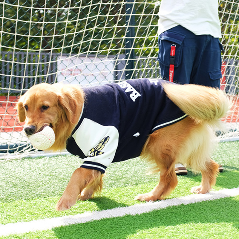 犬服 スポーティ学院風ジャンパー