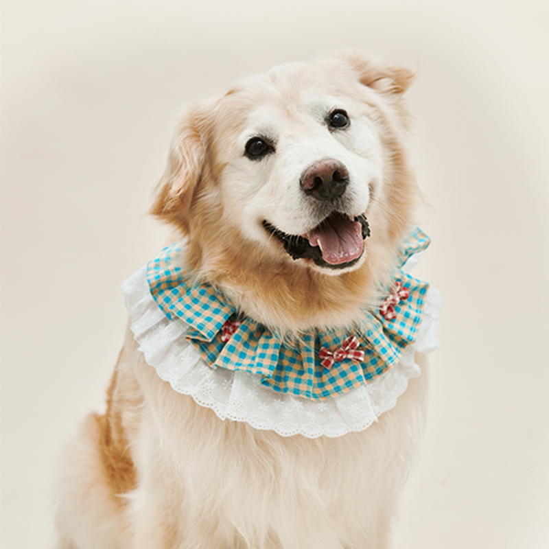 犬服 大型犬用チェック柄フリルつけ襟リボン飾り