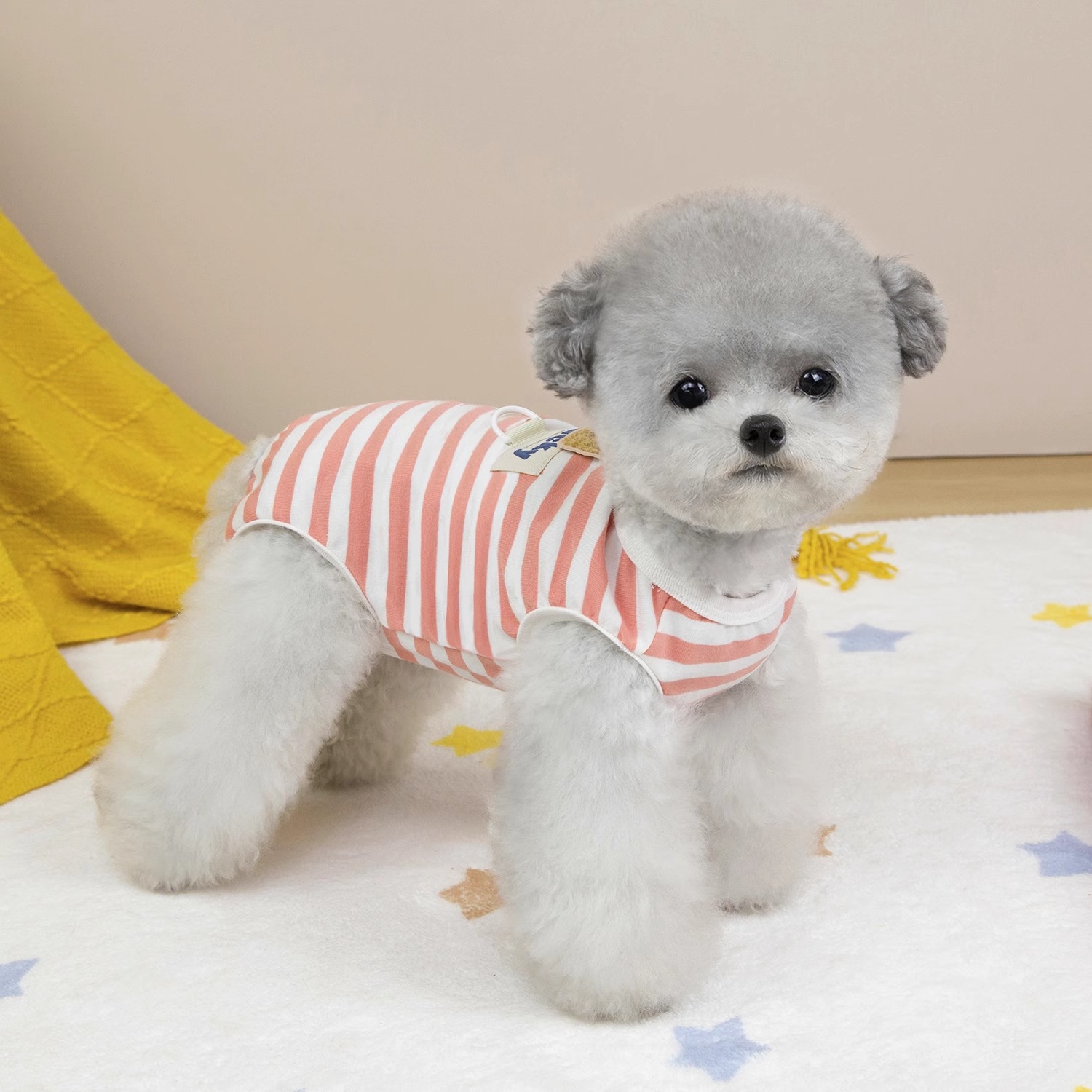 犬服 さわやかボーダークールウェア