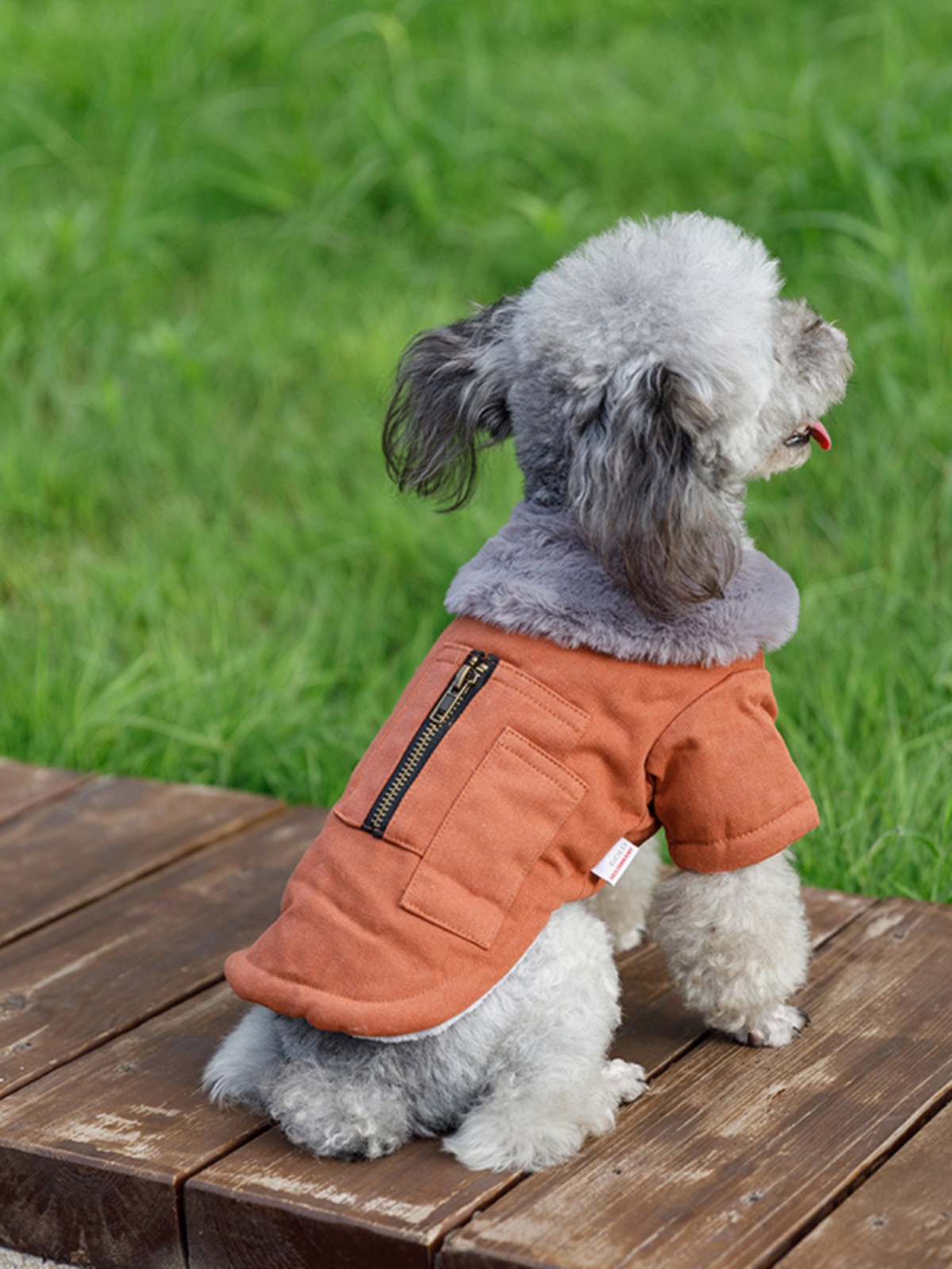 犬服 ふわもこ帆船ダウンジャケット