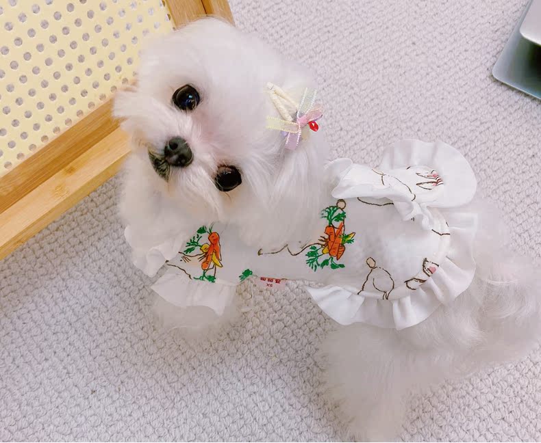 犬服 うさぎと人参刺繍の袖フリル付きワンピース