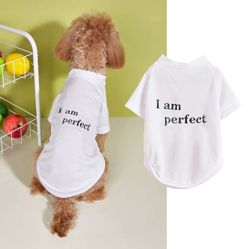 犬服  自信満々ペット用Tシャツ