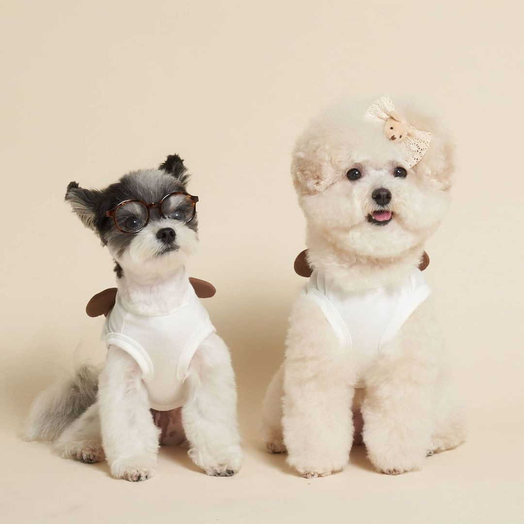犬服 くまさんなりきりパジャマ